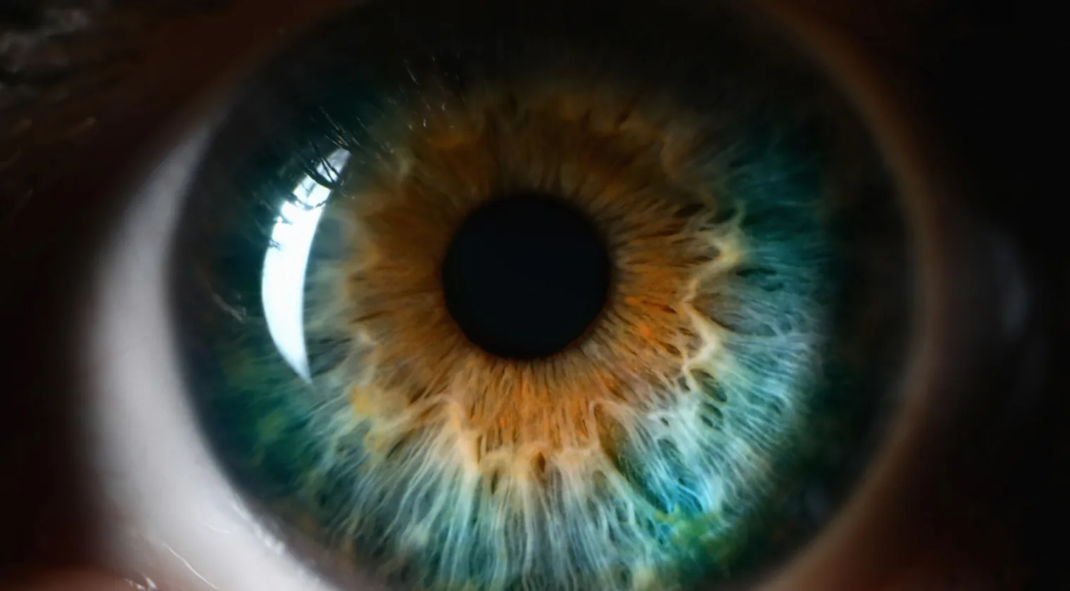 Primer plano de un iris de ojo verde y ámbar, fotografía del iris en Córdoba